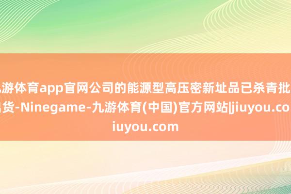九游体育app官网公司的能源型高压密新址品已杀青批量出货-Ninegame-九游体育(中国)官方网站|jiuyou.com
